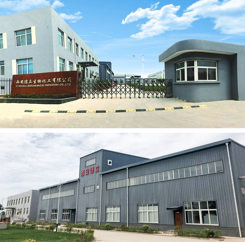 Xi'an Deli Biokimia Industri Co., Ltd.: Inovasi Terkemuka dalam Derivatif Cyclodextrin, Memperkasakan Industri Farmaseutikal