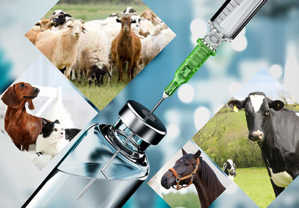 Meningkatkan Ubat Veterinar dengan Hydroxypropyl Betadex